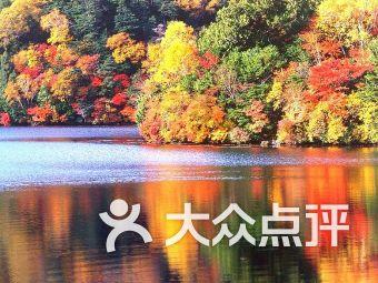 逃离黑白系房屋