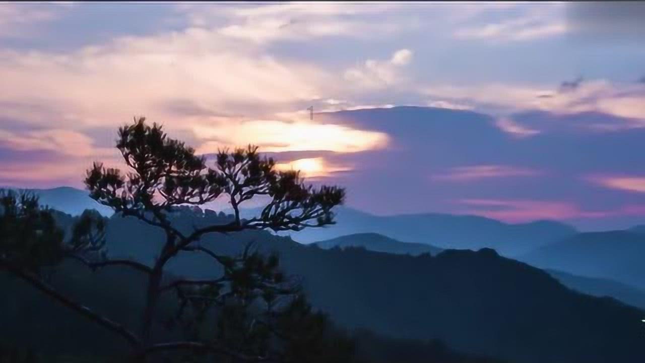 救援环境科学家
