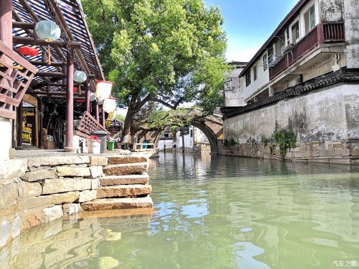 细胞分裂6
